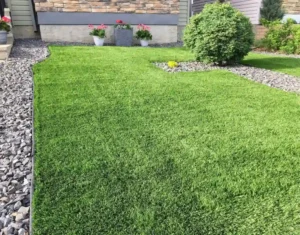 A well-maintained green lawn of artificial turf bordered by decorative rocks, with a bush on the right and potted pink flowers near a stone wall in the background.