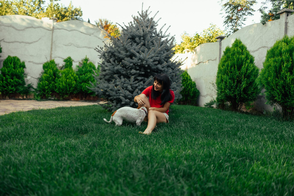  Yard with Artificial Turf