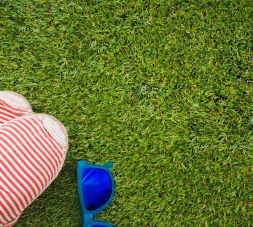 How Artificial Turf Can Save You Water and Money